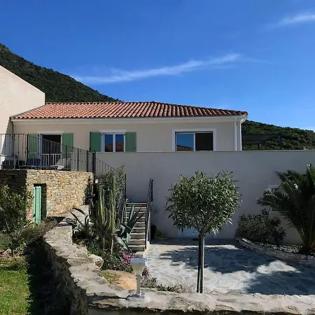 De Standing Vista - Domaine Romella - Piscine - Vue De Padula Oletta (Corsica)