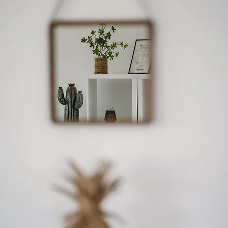 De Standing Vista - Domaine Romella - Piscine - Vue De Padula Oletta (Corsica)