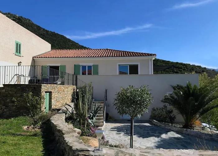 De Standing Vista - Domaine Romella - Piscine - Vue De Padula Oletta (Corsica)
