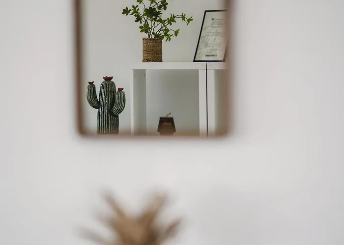 De Standing Vista - Domaine Romella - Piscine - Vue De Padula Oletta (Corsica)