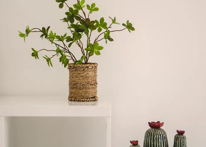 Villa De Standing Vista - Domaine Romella - Piscine - Vue De Padula